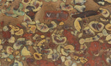 Fruit Jasper Slab 246