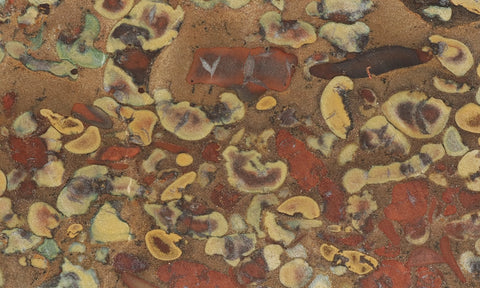 Fruit Jasper Slab 246