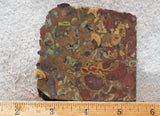 Fruit Jasper Slab 260