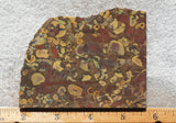 Fruit Jasper Slab 272