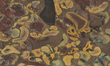 Fruit Jasper Slab 275