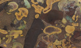 Bargain Bin E Slab 156