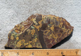Bargain Bin E Slab 156