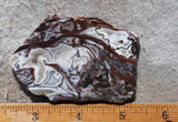 Cady Mountain Slab 278