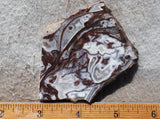 Cady Mountain Slab 281