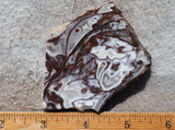 Cady Mountain Slab 281