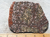 Leopard Skin Jasper Rock Slab 04