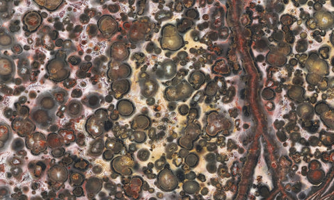 Leopard Skin Jasper Rock Slab 04