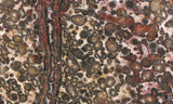Leopard Skin Jasper Rock Slab 12