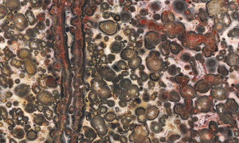 Leopard Skin Jasper Rock Slab 12