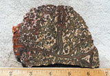 Leopard Skin Jasper Rock Slab 11