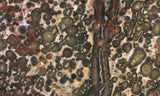 Leopard Skin Jasper Rock Slab 11