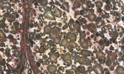 Leopard Skin Jasper Rock Slab 10