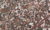 Leopard Skin Jasper Rock Slab 03