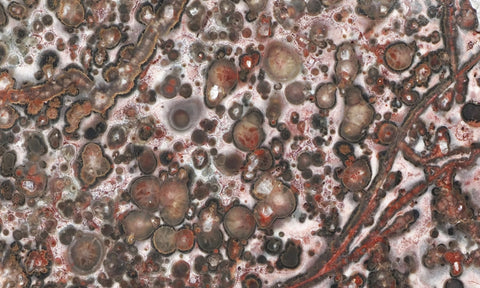 Leopard Skin Jasper Rock Slab 03