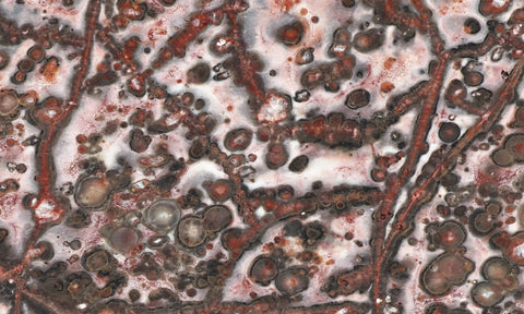 Leopard Skin Jasper Rock Slab 08