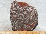 Leopard Skin Jasper Rock Slab 07