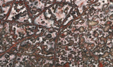 Leopard Skin Jasper Rock Slab 07
