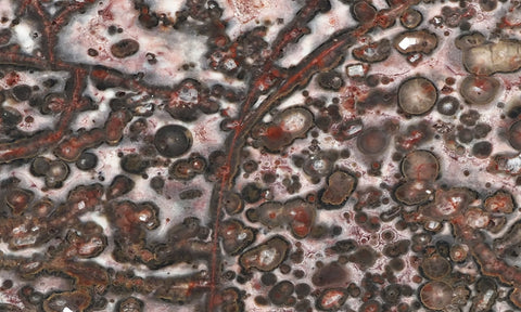Leopard Skin Jasper Rock Slab 07