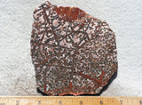 Leopard Skin Jasper Rock Slab 07