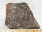 Leopard Skin Jasper Rock Slab 06