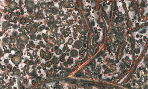 Leopard Skin Jasper Rock Slab 06