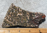 Leopard Skin Jasper Rock Slab 13
