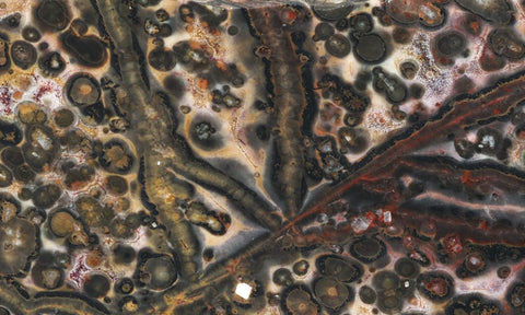 Leopard Skin Jasper Rock Slab 13