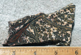 Leopard Skin Jasper Rock Slab 09
