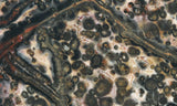 Leopard Skin Jasper Rock Slab 09