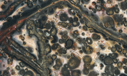 Leopard Skin Jasper Rock Slab 09