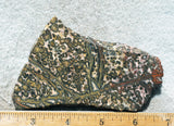 Leopard Skin Jasper Rock Slab 05