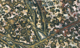 Leopard Skin Jasper Rock Slab 05