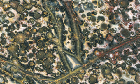 Leopard Skin Jasper Rock Slab 05