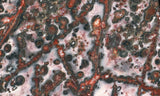 Leopard Skin Jasper Rock Slab 02
