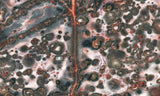 Leopard Skin Jasper Rock Slab 02
