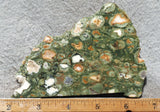 Rainforest Jasper Rock Slab 49