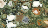 Rainforest Jasper Rock Slab 49