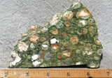 Rainforest Jasper Rock Slab 49