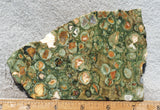 Rainforest Jasper Rock Slab 48