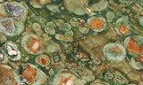 Rainforest Jasper Rock Slab 48
