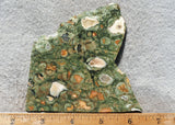Rainforest Jasper Rock Slab 47