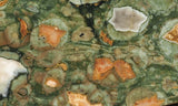 Rainforest Jasper Rock Slab 47