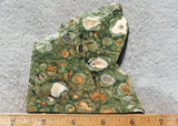 Rainforest Jasper Rock Slab 47