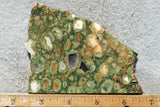 Rainforest Jasper Rock Slab 37