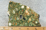 Rainforest Jasper Rock Slab 37
