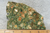 Rainforest Jasper Rock Slab 34