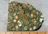 Rainforest Jasper Rock Slab 41