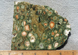 Rainforest Jasper Rock Slab 41