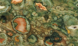 Rainforest Jasper Rock Slab 40